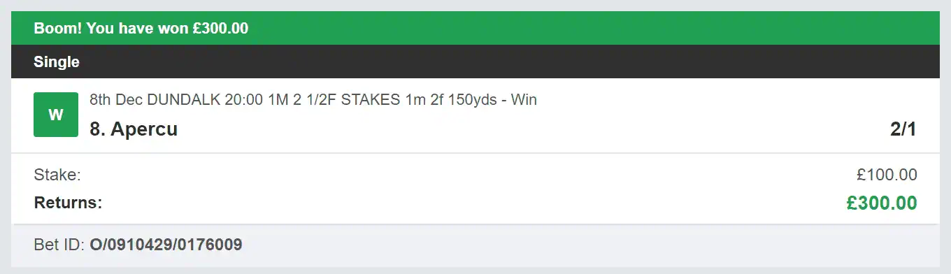 Best Racing Bets - Winner - 2 - 2023-12-08